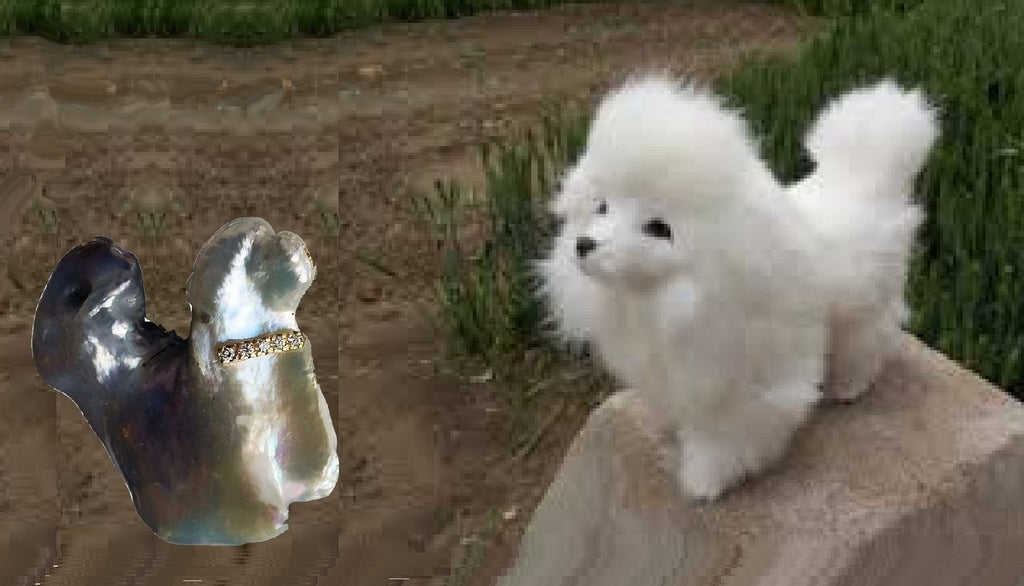 Jumbo Poodle Shaped Pearl Necklace-Once in a Lifetime-Diamonds & 18K Gold Collar and Chain.-5